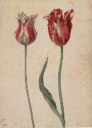 Georg Flegel Two Tulips oil painting reproduction